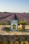Recharge Herbes de Provence 25gr Maison Molinet