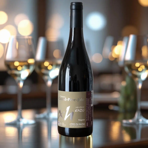 Cuvée Enzo 2023 – Domaine Grand‑Père Jules Maison Molinet