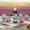Sirop de Lavande 70cl Maison Molinet